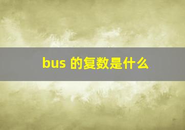 bus 的复数是什么